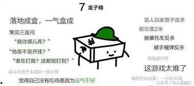 带你去吃瓜瓜哥视频,揭秘网红美食背后的故事